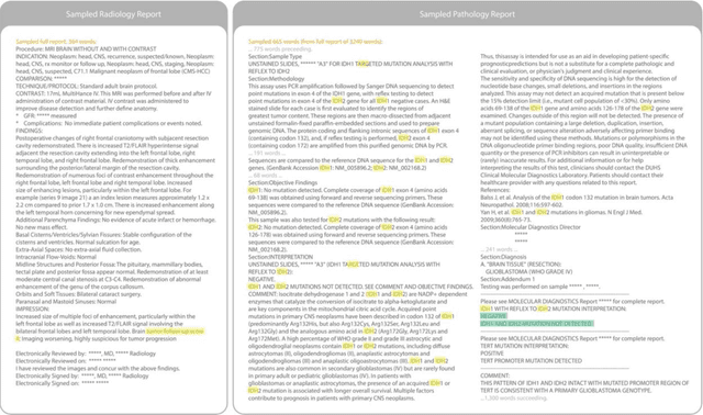 Figure 4 for Language Models and Retrieval Augmented Generation for Automated Structured Data Extraction from Diagnostic Reports