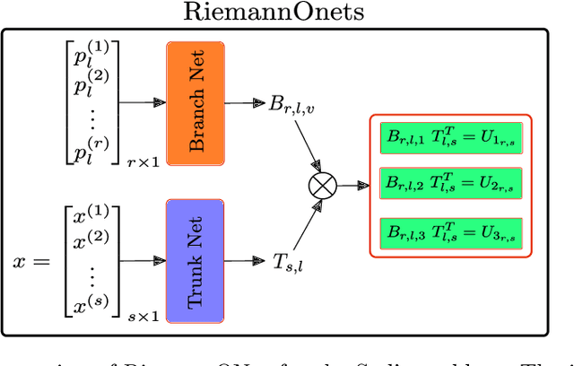 Figure 1 for RiemannONets: Interpretable Neural Operators for Riemann Problems