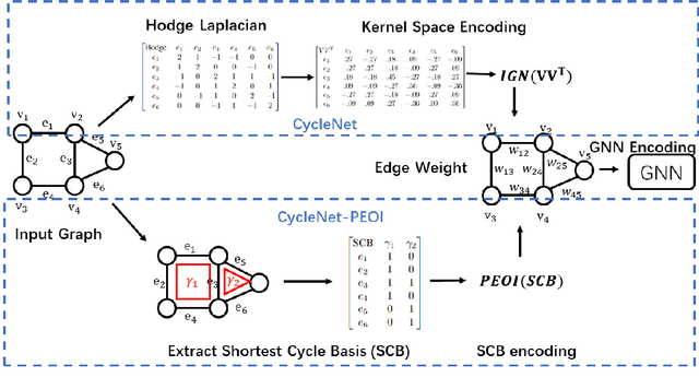 Figure 1 for Cycle Invariant Positional Encoding for Graph Representation Learning