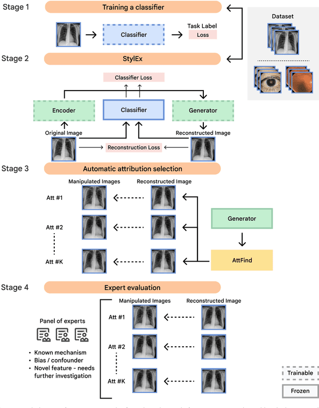 Figure 1 for Using generative AI to investigate medical imagery models and datasets