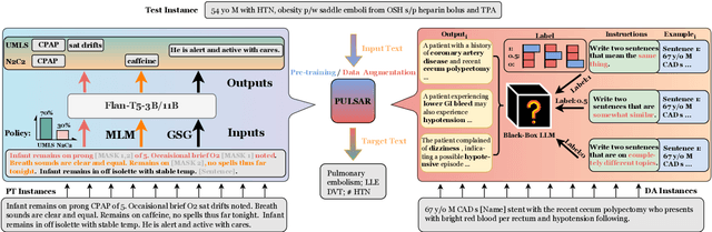 Figure 1 for PULSAR: Pre-training with Extracted Healthcare Terms for Summarising Patients' Problems and Data Augmentation with Black-box Large Language Models