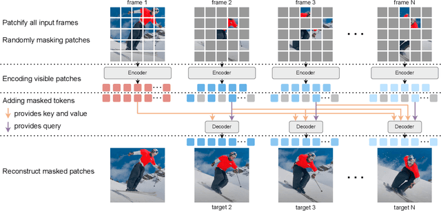 Figure 2 for Concatenated Masked Autoencoders as Spatial-Temporal Learner