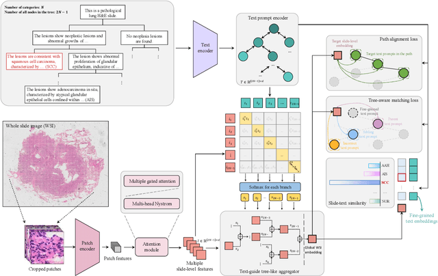 Figure 3 for Diagnostic Text-guided Representation Learning in Hierarchical Classification for Pathological Whole Slide Image