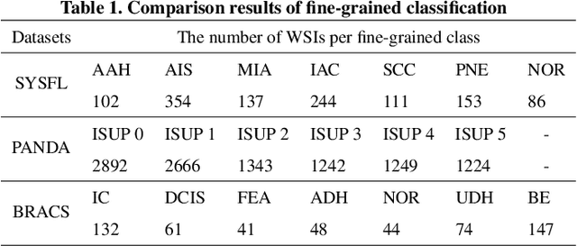 Figure 2 for Diagnostic Text-guided Representation Learning in Hierarchical Classification for Pathological Whole Slide Image