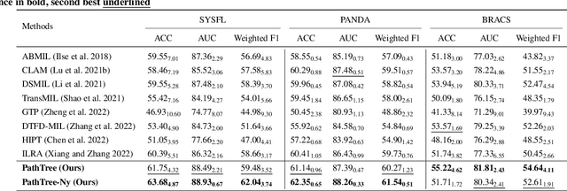 Figure 4 for Diagnostic Text-guided Representation Learning in Hierarchical Classification for Pathological Whole Slide Image