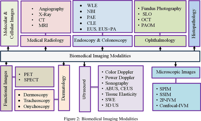 Figure 2 for Biomedical Image Segmentation: A Systematic Literature Review of Deep Learning Based Object Detection Methods