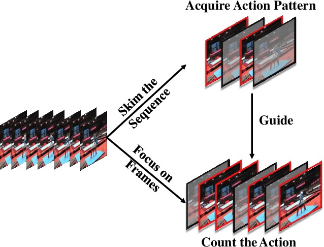 Figure 1 for Skim then Focus: Integrating Contextual and Fine-grained Views for Repetitive Action Counting