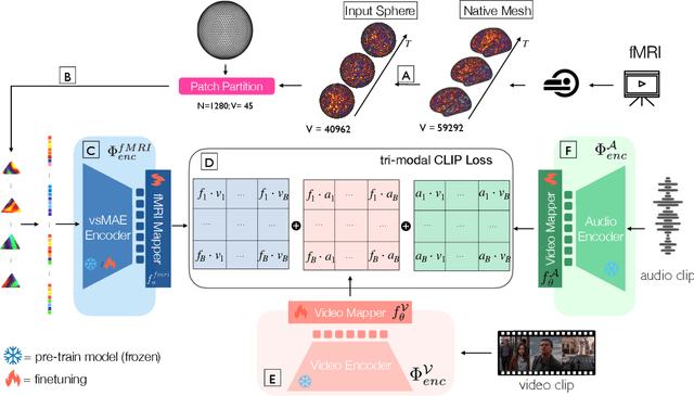 Figure 1 for SIM: Surface-based fMRI Analysis for Inter-Subject Multimodal Decoding from Movie-Watching Experiments