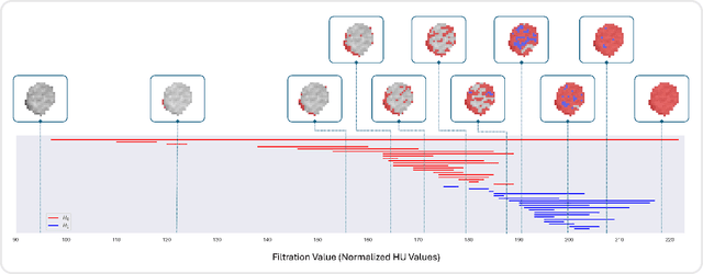 Figure 4 for A Novel Patch-Based TDA Approach for Computed Tomography