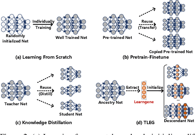 Figure 3 for Transformer as Linear Expansion of Learngene