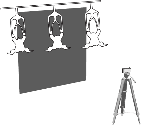 Figure 3 for CarcassFormer: An End-to-end Transformer-based Framework for Simultaneous Localization, Segmentation and Classification of Poultry Carcass Defect