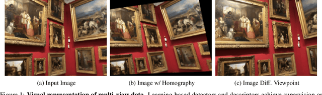 Figure 1 for NeRF-Supervised Feature Point Detection and Description