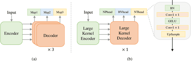 Figure 3 for LKCell: Efficient Cell Nuclei Instance Segmentation with Large Convolution Kernels