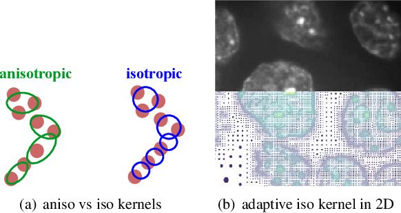 Figure 3 for Isotropic Gaussian Splatting for Real-Time Radiance Field Rendering