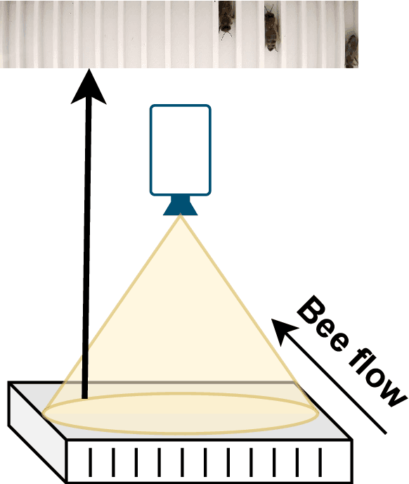 Figure 1 for Computer Vision Approaches for Automated Bee Counting Application