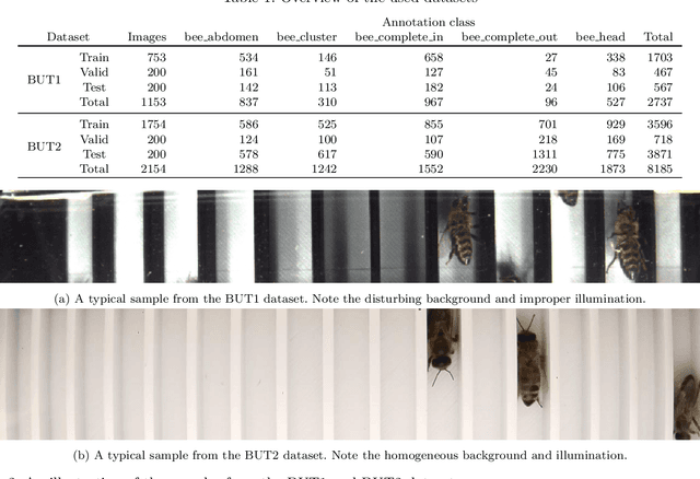 Figure 2 for Computer Vision Approaches for Automated Bee Counting Application