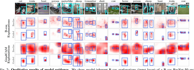 Figure 3 for Using Explanations to Guide Models