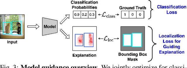 Figure 4 for Using Explanations to Guide Models