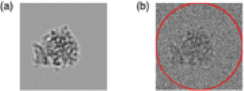 Figure 2 for ACE-HetEM for ab initio Heterogenous Cryo-EM 3D Reconstruction