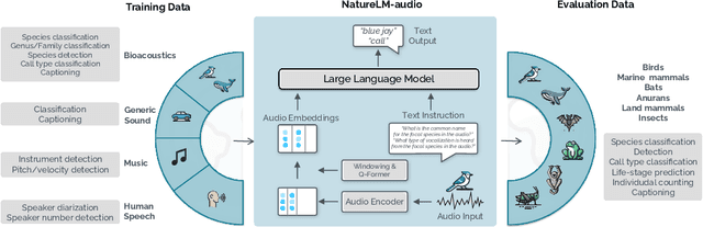 Figure 1 for NatureLM-audio: an Audio-Language Foundation Model for Bioacoustics