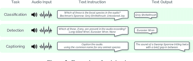 Figure 3 for NatureLM-audio: an Audio-Language Foundation Model for Bioacoustics