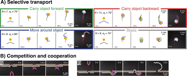 Figure 4 for Emergent functional dynamics of link-bots