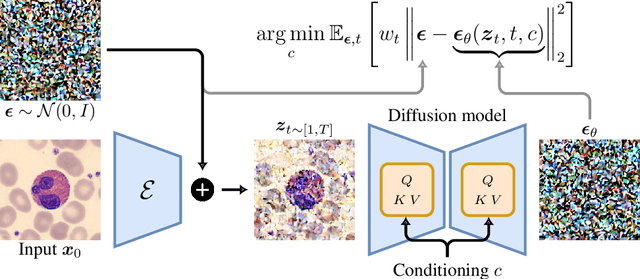 Figure 1 for Deep Generative Classification of Blood Cell Morphology