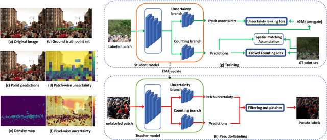 Figure 1 for Calibrating Uncertainty for Semi-Supervised Crowd Counting