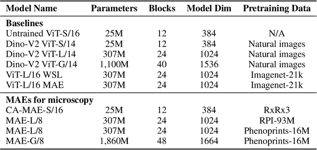 Figure 2 for ViTally Consistent: Scaling Biological Representation Learning for Cell Microscopy