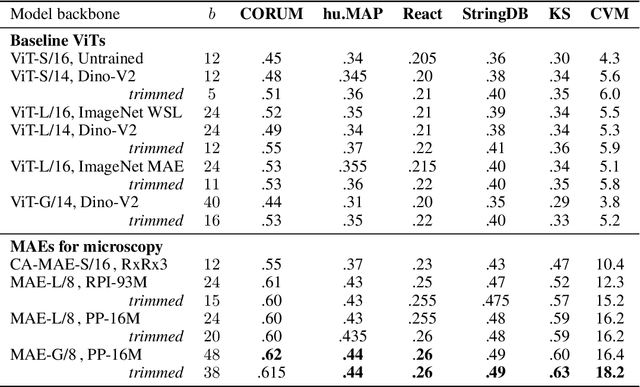 Figure 4 for ViTally Consistent: Scaling Biological Representation Learning for Cell Microscopy