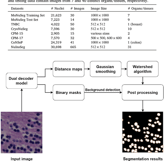 Figure 1 for Improving Generalization Capability of Deep Learning-Based Nuclei Instance Segmentation by Non-deterministic Train Time and Deterministic Test Time Stain Normalization