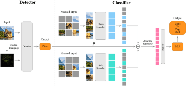 Figure 4 for Towards Robust Vision Transformer via Masked Adaptive Ensemble