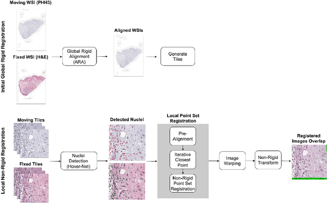 Figure 3 for Nuclei-Location Based Point Set Registration of Multi-Stained Whole Slide Images