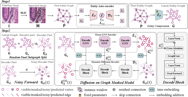 Figure 3 for Dynamic Entity-Masked Graph Diffusion Model for histopathological image Representation Learning