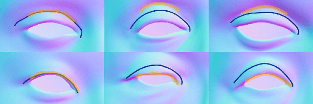 Figure 2 for Eyelid Fold Consistency in Facial Modeling