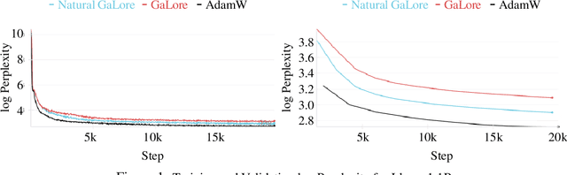 Figure 1 for Natural GaLore: Accelerating GaLore for memory-efficient LLM Training and Fine-tuning