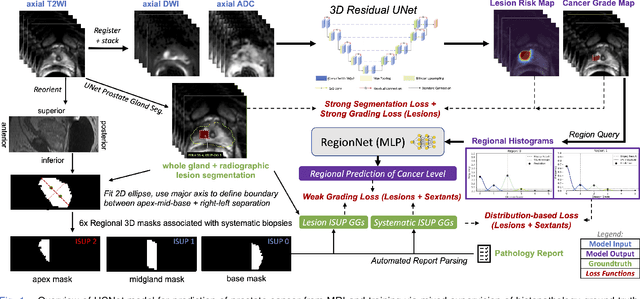 Figure 1 for Mixed Supervision of Histopathology Improves Prostate Cancer Classification from MRI