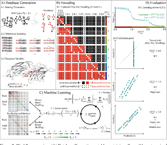 Figure 2 for Data-Error Scaling in Machine Learning on Natural Discrete Combinatorial Mutation-prone Sets: Case Studies on Peptides and Small Molecules