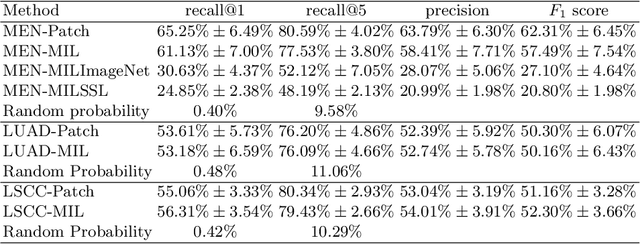 Figure 2 for Re-identification from histopathology images