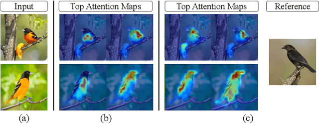 Figure 1 for Prompt-CAM: A Simpler Interpretable Transformer for Fine-Grained Analysis