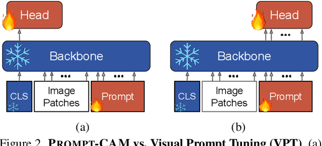 Figure 3 for Prompt-CAM: A Simpler Interpretable Transformer for Fine-Grained Analysis