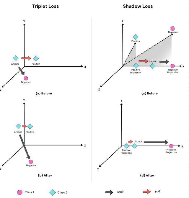 Figure 1 for Shadow: A Novel Loss Function for Efficient Training in Siamese Networks