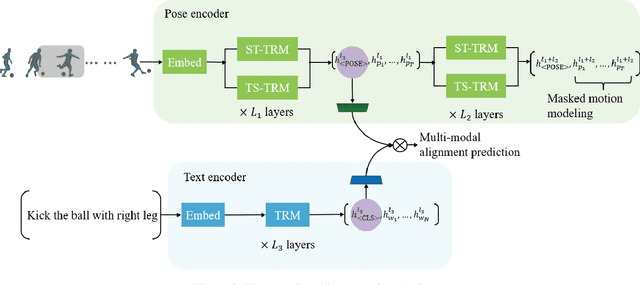 Figure 3 for ActionPose: Pretraining 3D Human Pose Estimation with the Dark Knowledge of Action