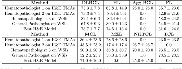 Figure 4 for LymphoML: An interpretable artificial intelligence-based method identifies morphologic features that correlate with lymphoma subtype