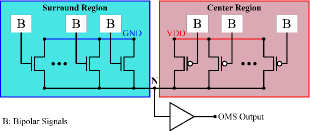 Figure 1 for Hardware-Algorithm Re-engineering of Retinal Circuit for Intelligent Object Motion Segmentation