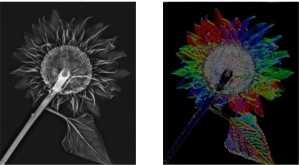 Figure 4 for PhyCV: The First Physics-inspired Computer Vision Library