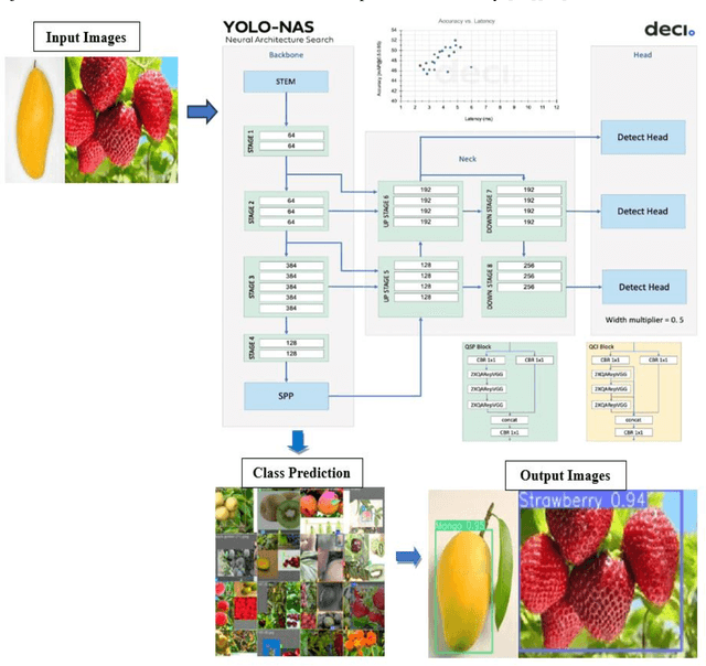 Figure 3 for Fruit Classification System with Deep Learning and Neural Architecture Search
