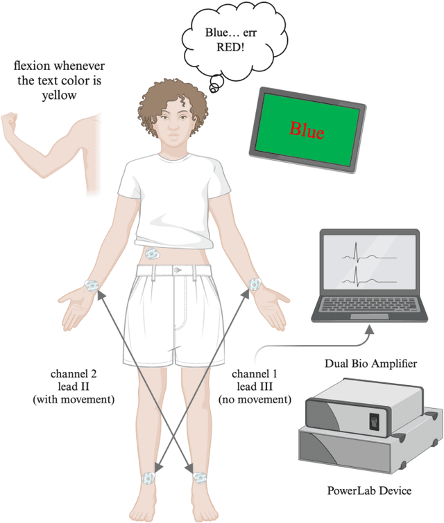 Figure 1 for Towards Continuous Skin Sympathetic Nerve Activity Monitoring: Removing Muscle Noise