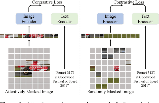 Figure 2 for Attentive Mask CLIP