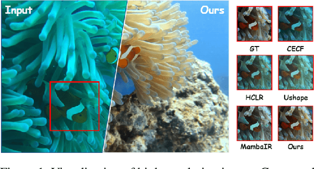 Figure 1 for O-Mamba: O-shape State-Space Model for Underwater Image Enhancement